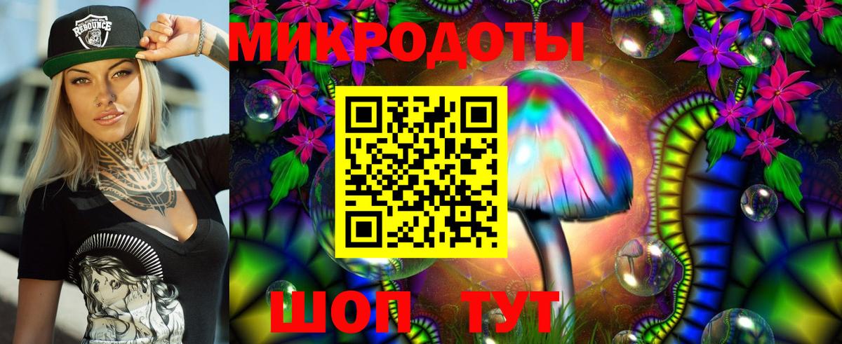 где купить наркоту  Вход с VPN  Белореченск  Псилоцибиновые грибы Psilocybe 