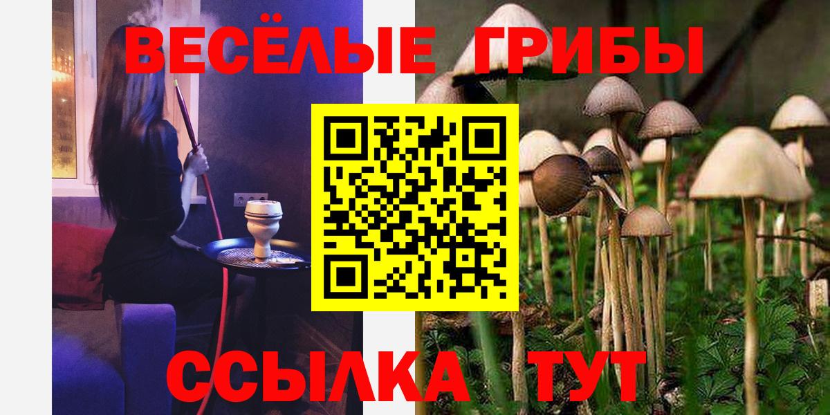 Галлюциногенные грибы мицелий Белореченск
